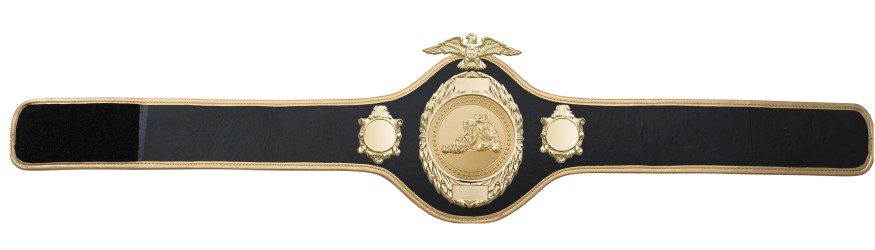 JIU JITSU CHAMPIONSHIP BELT-PRO288/G/JJG - 10 COLOURS JIU JITSU CHAMPIONSHIP BELT-PRO288/G/JJG - 10 COLOURS